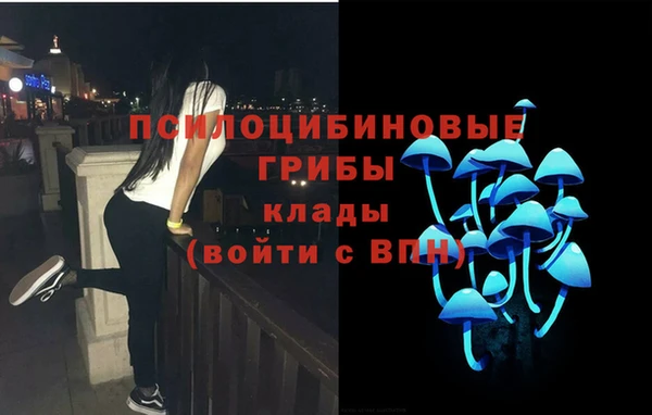 герыч Новокубанск