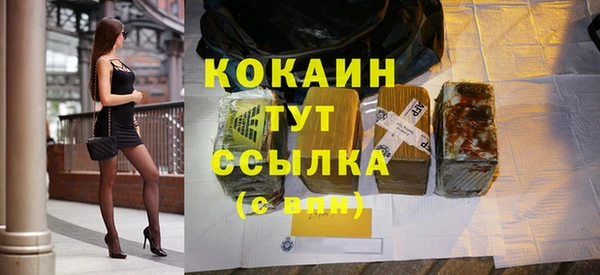 дживик Новодвинск