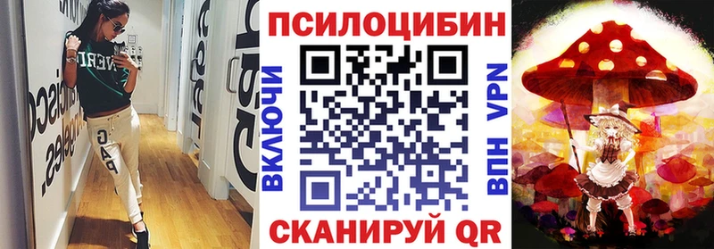 где продают наркотики  Рыльск  Галлюциногенные грибы MAGIC MUSHROOMS 